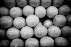 Navel (Holiday Exclusive)