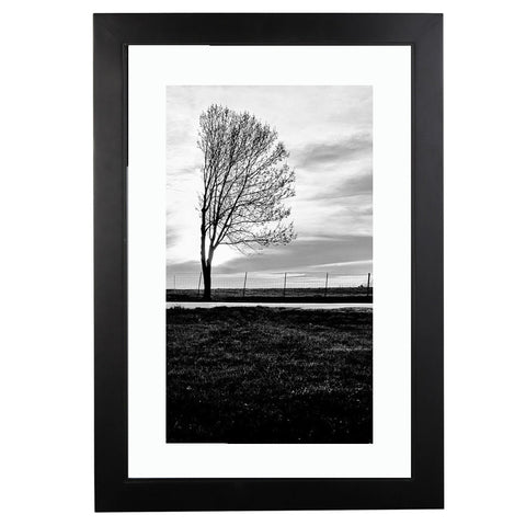 Placid (Holiday Exclusive)