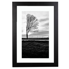 Placid (Holiday Exclusive)