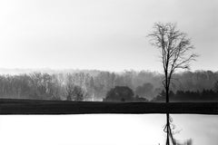 Solace (Holiday Exclusive)