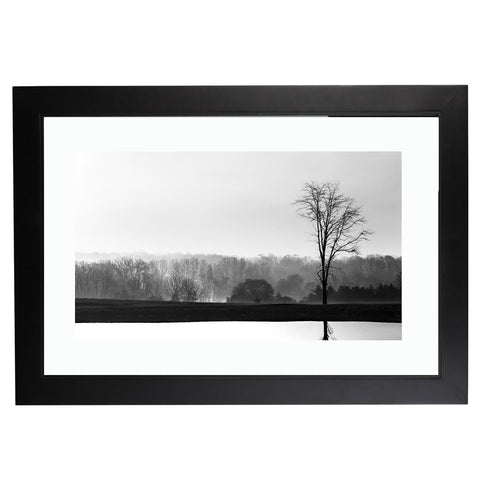 Solace (Holiday Exclusive)