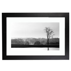 Solace (Holiday Exclusive)